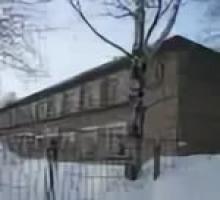 Детский сад №137 г. Пермь