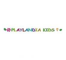 Частный детский сад "Плейландия Кидс"